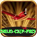 2019 world cup - Deluxe Edition v4.9.5