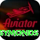 andrew symonds Pro Edition v5.7.7