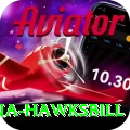 antigua hawksbill Deluxe v5.1.3