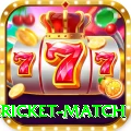 bangladesh cricket match VIP Edition v3.0.0