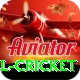 bbl cricket VIP Pro v2.0.5