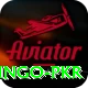 Bingo PKR Deluxe v2.4.3