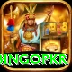 bingopkr