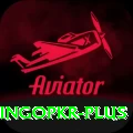bingopkr Deluxe v1.9.9