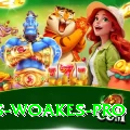 chris woakes APK Ultimate v4.4.0