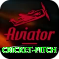 cricket pitch Gold v5.7.7
