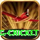 expected goals x g cricket Turbo v2.9.6