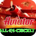 fastest ball in cricket Ultimate v2.9.4