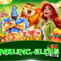 gambling slots Premium Plus v2.2.6