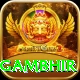 gautam gambhir Max v4.3.7