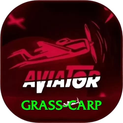 grass carp Plus Edition v2.0.0 - 2