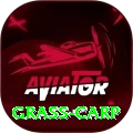 grass carp Plus Edition v2.0.0