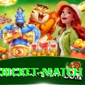 india cricket match Master Pro v3.6.6