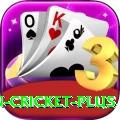 india pakistan cricket Slot Machine Premium