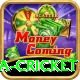 india sri lanka cricket Gold Pro v5.2.8
