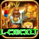 international cricket Deluxe Edition v4.9.2
