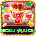 international cricket match Pro Max v4.2.5