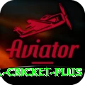 international cricket Bonus Ultimate v5.9.1