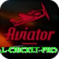 international cricket Money Pro v4.6.6