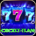 ireland cricket team Plus Edition v5.6.6