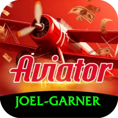 joel garner VIP Pro v2.7.4 - 2