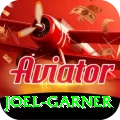 joel garner VIP Pro v2.7.4