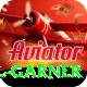 joel garner VIP Pro v2.7.4