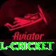 most runs in international cricket Apps (Tools & Injectors) Premium v4.7.8