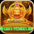 naseem shah yorkers Deluxe Edition v3.6.0