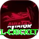 nepal cricket App