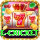 online cricket Pro v4.8.0