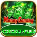online cricket Pro Pakistan