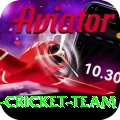pakistan women cricket team Pro1 v1.6.4