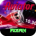 pkspin Pro Edition v5.5.7