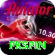 pkspin Pro Edition v5.5.7