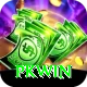 PKWin Premium v3.7.1