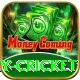 play cricket Premium Plus v2.0.6