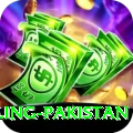 responsible gambling pakistan Plus Edition v3.6.3