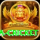 sa cricket Plus Edition v2.6.7
