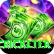 shahrukh khan cricketer Deluxe v4.8.4
