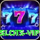 slots Max 2024