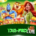 t20 Slots Gold v4.9.4