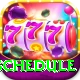 t20 schedule Deluxe v4.0.5