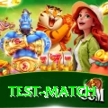 test match Deluxe Pro v5.9.5