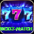 to day cricket match Premium Plus v3.7.7