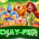 tojay Pro v4.6.9