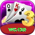 wc t20 Deluxe v1.4.0