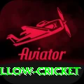 willow cricket Gold Edition v5.7.0