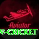 willow cricket Gold Edition v5.7.0